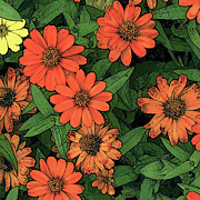 Yellow With Some Orange Photograph by Rod Whyte