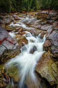 Ammonoosuc Cascade #1 Photograph by Jeff Sinon