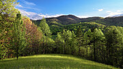 Blue Ridge Meadow Photograph by Steven Nelson