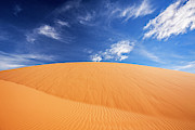 Coral Pink Sand Dunes State Park, Kanab, Utah #1 Photograph by FeelingVegas Wall Art and Prints