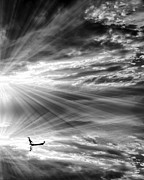 Dream #1 Photograph by Sofie Conte