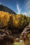Fall in Colorado #2 Photograph by Kevin Schwalbe