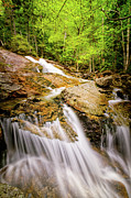 Falls In The Forest  #1 Photograph by Jeff Sinon