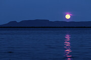 Full Moon Over The Giant #1 Photograph by Linda Ryma