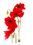 Just For You #1 Digital Art by Rafael Salazar