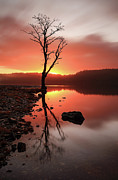 Loch Ard Sunrise #2 Photograph by Grant Glendinning