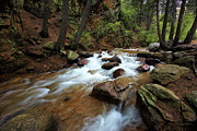Mountain Creek #1 Photograph by Bob Falcone