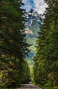 Mt Baker Washington #1 Photograph by Tommy Farnsworth
