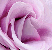 Pink Twist #1 Photograph by Barbara Siegel