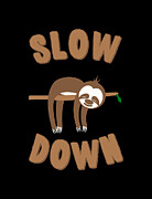 Slow Down Sloth #1 Digital Art by Flippin Sweet Gear