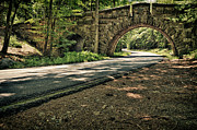 Stone Arch Bridge, Stanley Brook Drive, Acadia National Park #1 Photograph by Jeff Sinon