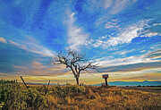 Welcome Tree - Taos, New Mexico Photograph by Robert Niemeier