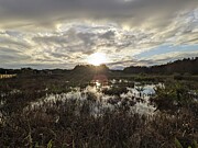 10115 Photograph by David McKinney