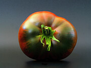 12 oz. of Cherokee Purple Photograph by Joe Schofield