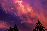 Santa Cruz Mountains California #2 Photograph by Tommy Farnsworth