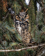 Wilson #2 Photograph by James Overesch