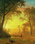 Light in the Forest by Albert Bierstadt Painting by The Luxury Art Collection