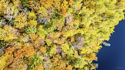 Aerial view of Lake Eligo in Craftsbury, Vermont #3 Photograph by Eric Killorin