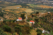 South Spain #3 Photograph by Severija Kirilovaite