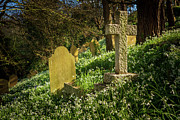 St Just in Roseland parish church in Cornwall UK #4 Photograph by Steven Heap