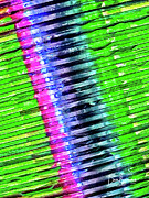 Compact Discs Photograph by Dan Beauvais