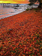 The Fallen #5 Photograph by William Norton