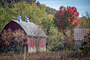 Vibrant Autumn Landscape with Rustic Barn_7584 Photograph by Linda Triplett