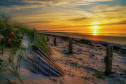 A New Beginning Photograph by Penny Polakoff