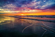 A Burst of Color Photograph by Penny Polakoff