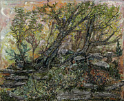 A Good Tree to Climb Mixed Media by Susan Orosz