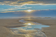 A Gorgeous Morning Photograph by Penny Polakoff