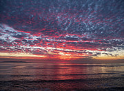 A Moment on the Pacific Photograph by Joe Schofield