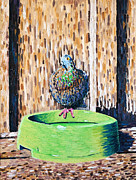 A Pigeon Standing on a Dogs Water Bowl Oil Painting Painting by Michel Cruz-Garcia