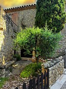 A Quiet Corner in Castell Olive Tree and Stone Walls in Catalonia Photograph by Travel Essayist