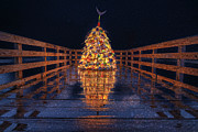 A Stunning Lobster Buoy Tree Photograph by Penny Polakoff