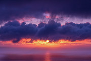 Passion Purple Sunset Photograph by Abigail Diane Photography