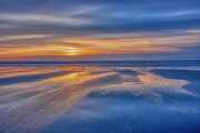A Touch of Hope Photograph by Penny Polakoff