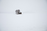 Abandoned Farmhouse Winter Photograph by Michael DeGrenier