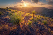 Above the Desert Photograph by Slow Fuse Photography