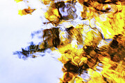 Abstract Autumn Reflections in Water Photograph by Tatiana Travelways