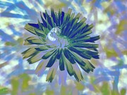 Abstract Bloom with Bee Digital Art by Bruce Block