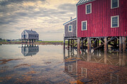 Amazing Reflections Photograph by Penny Polakoff