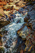 Ammonoosuc Cascade Photograph by Jeff Sinon
