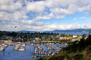 Anacortes Harbor Photograph by Barbara Siegel