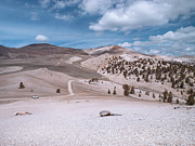 Ancient Bristlecone Pine Highway Photograph by Joe Schofield