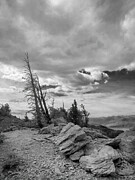 And Miles to Go Photograph by Joe Schofield