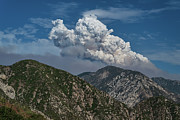 Angeles National Forest, California Photograph by Abigail Diane Photography