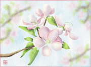 Apple Blossoms Digital Art by Snow Iris Studio
