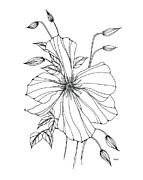 Artifice Drawing by Catherine Bede