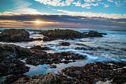 Asilomar Sunset - Asilomar State Beach Pacific Grove California Photograph by Mike Lee